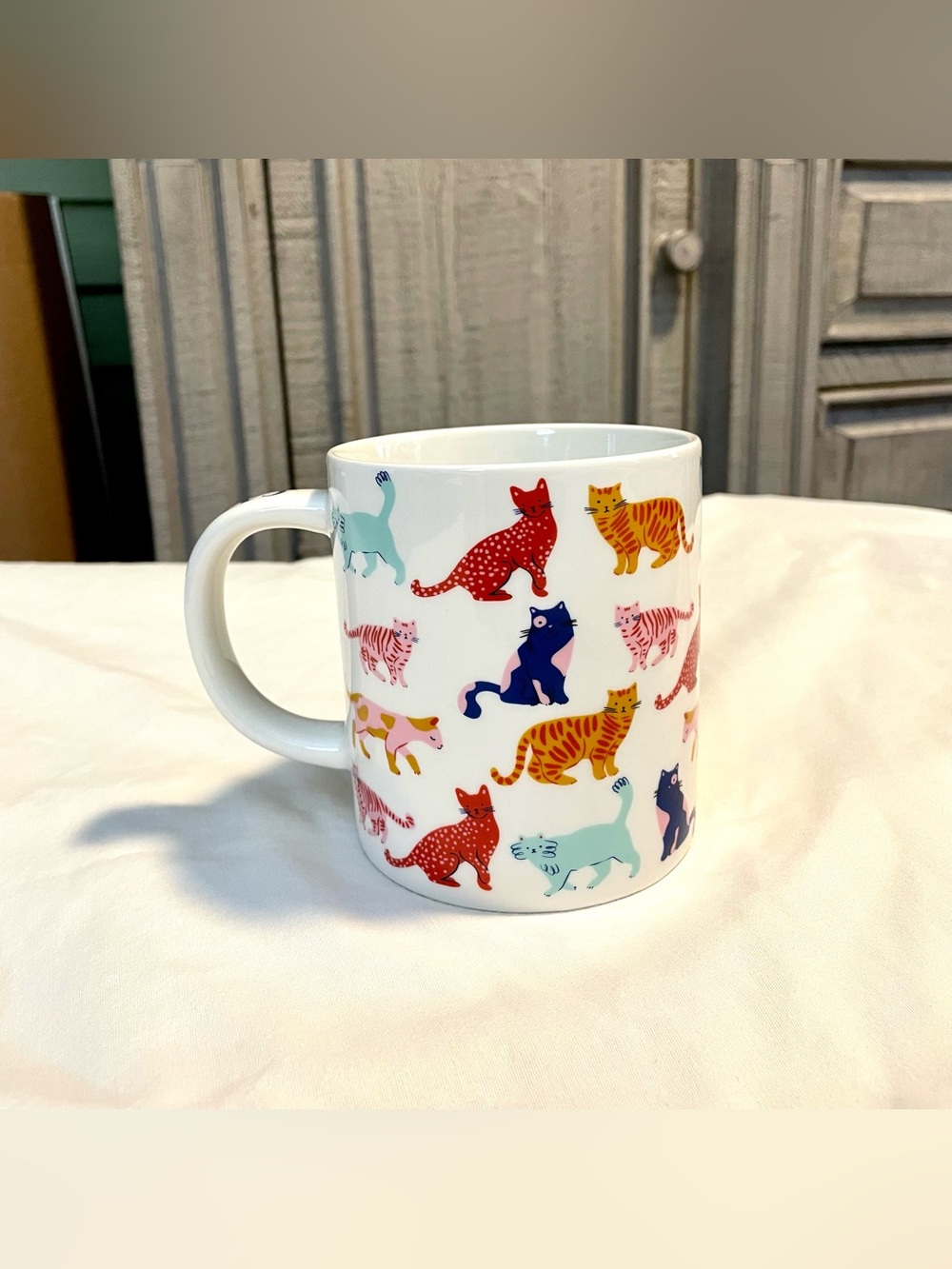 Parker Lane “CAT PERSON” Coffee/Tea Mug/Cup - Ceramic - 16 oz  - Cat Variety